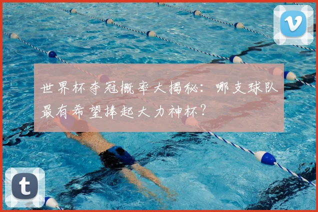 世界杯夺冠概率大揭秘:哪支球队最有希望捧起大力神杯?