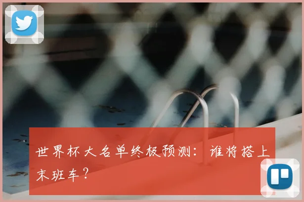 世界杯大名单终极预测:谁将搭上末班车?