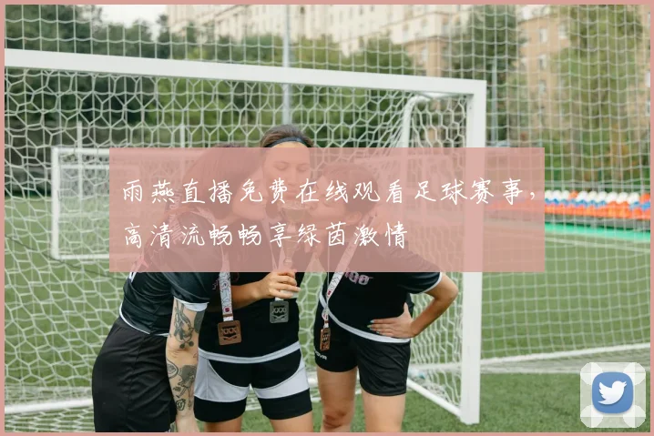 雨燕直播免费在线观看足球赛事，高清流畅畅享绿茵激情